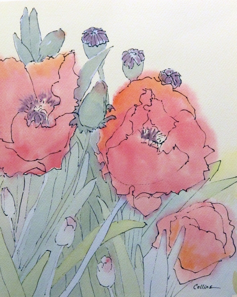 PINK POPPIES WATERCOLOR by Jane Wallor Collins