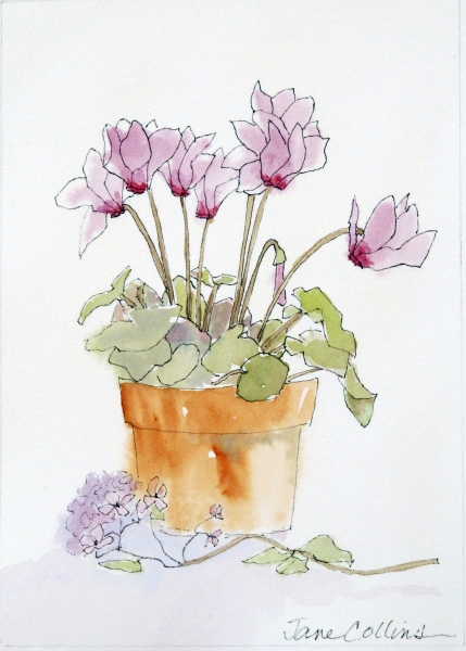 CYCLAMEN AND HYDRANGEA by Jane Wallor Collins
