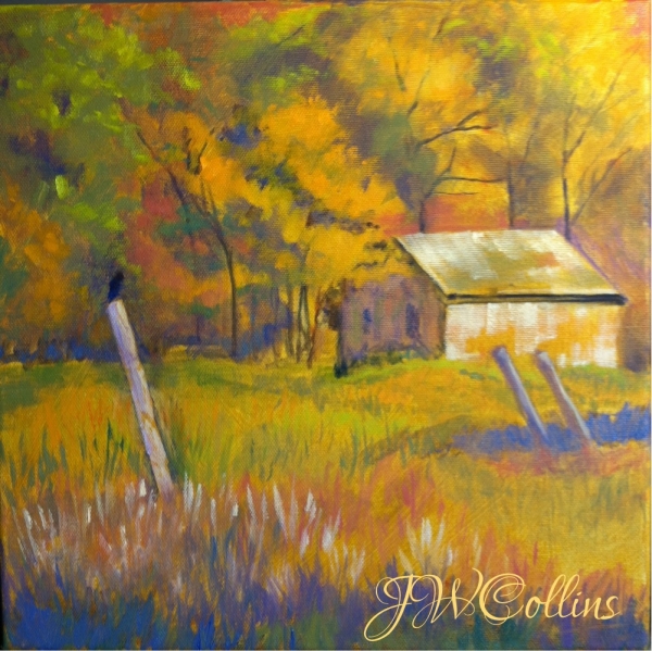 BARN WITH BLACKBIRD by Jane Wallor Collins