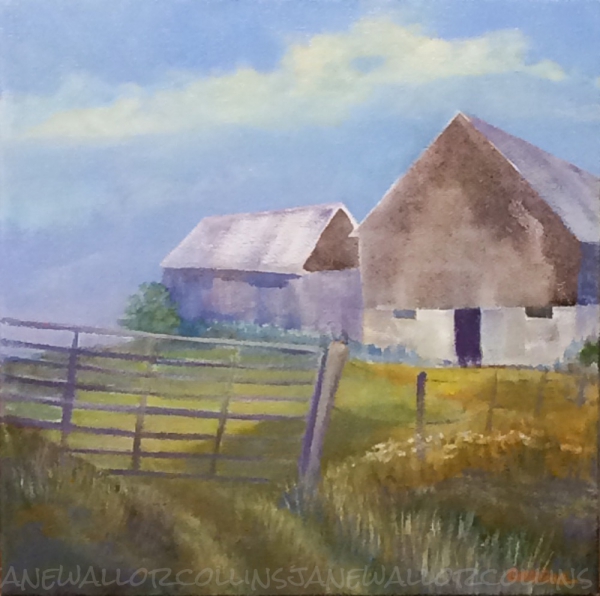 BROWN BARNS by Jane Wallor Collins