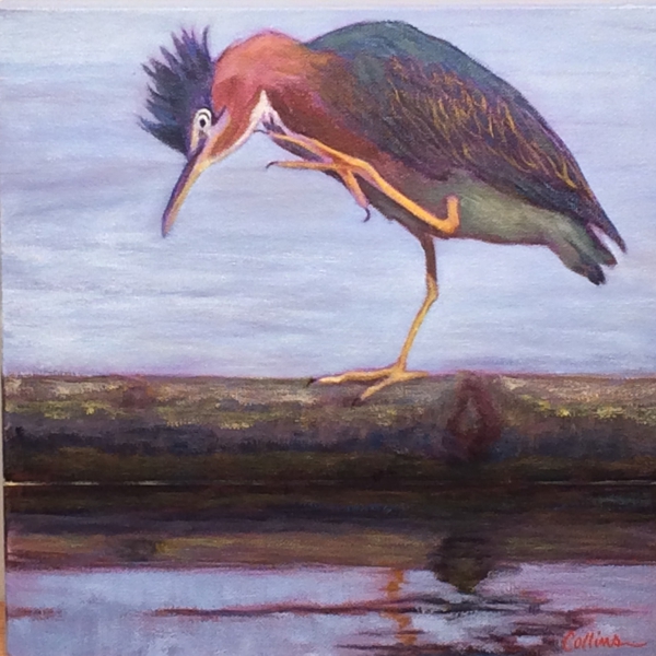 GREEN HERON HAVING A SCRATCH by Jane Wallor Collins
