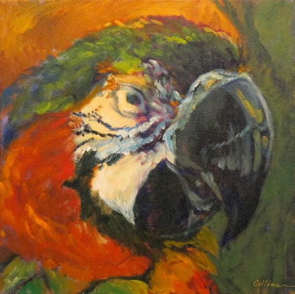MISTER P by Jane Wallor Collins