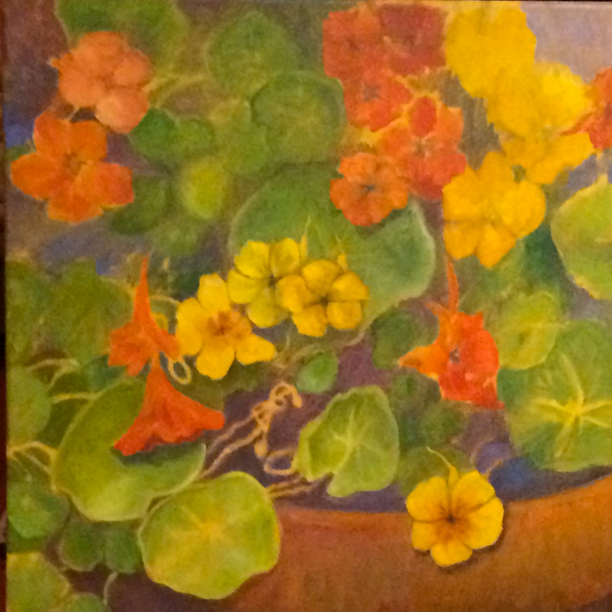 NASTURTIUMS by Jane Wallor Collins