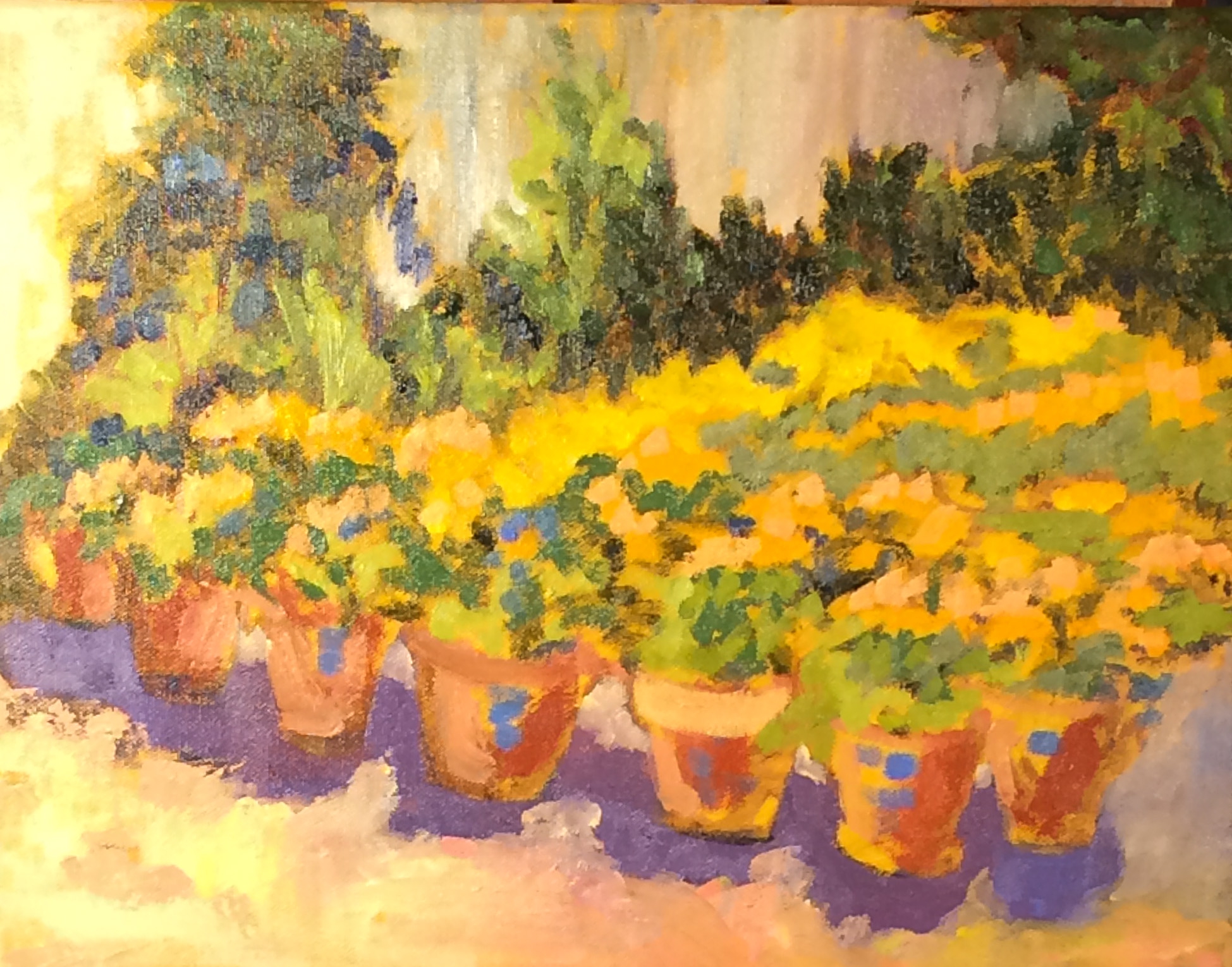 MUMS FOR SALE by Jane Wallor Collins