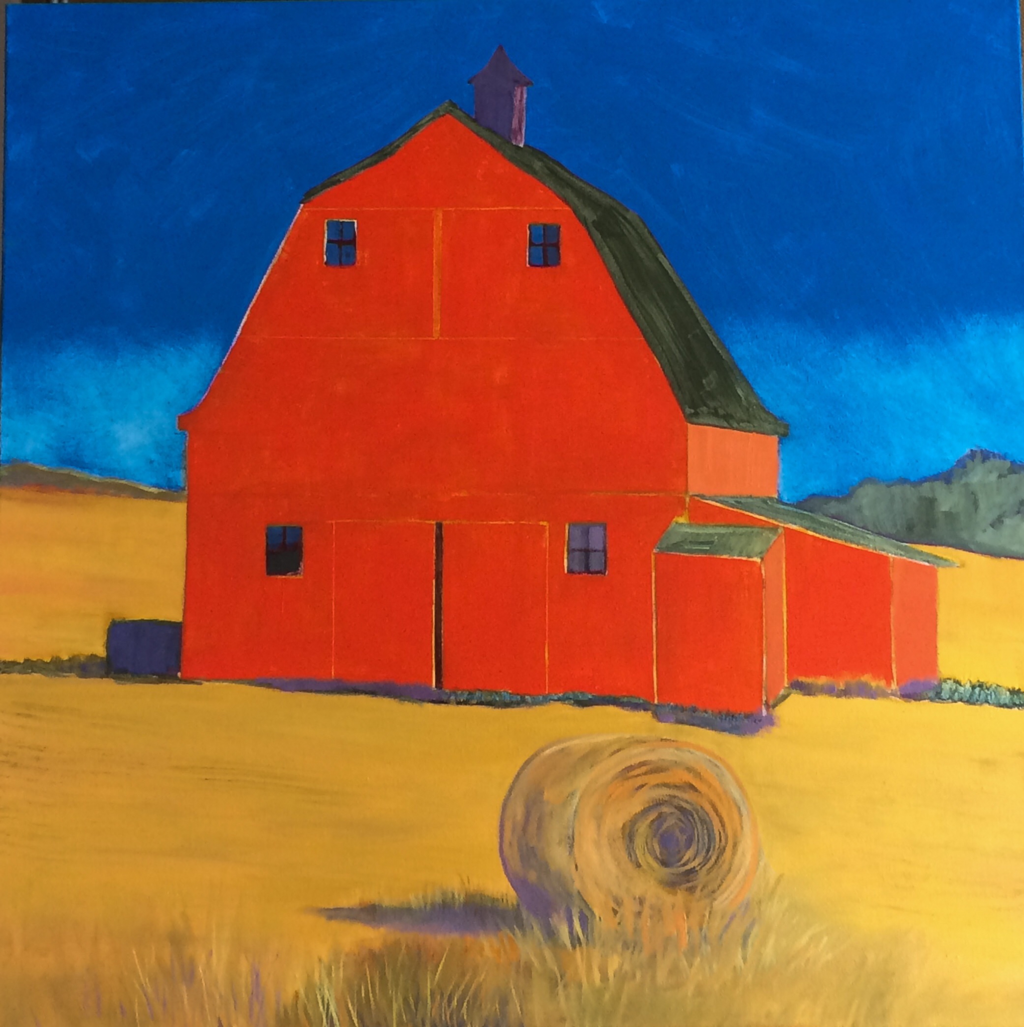 BIG SKY by Jane Wallor Collins