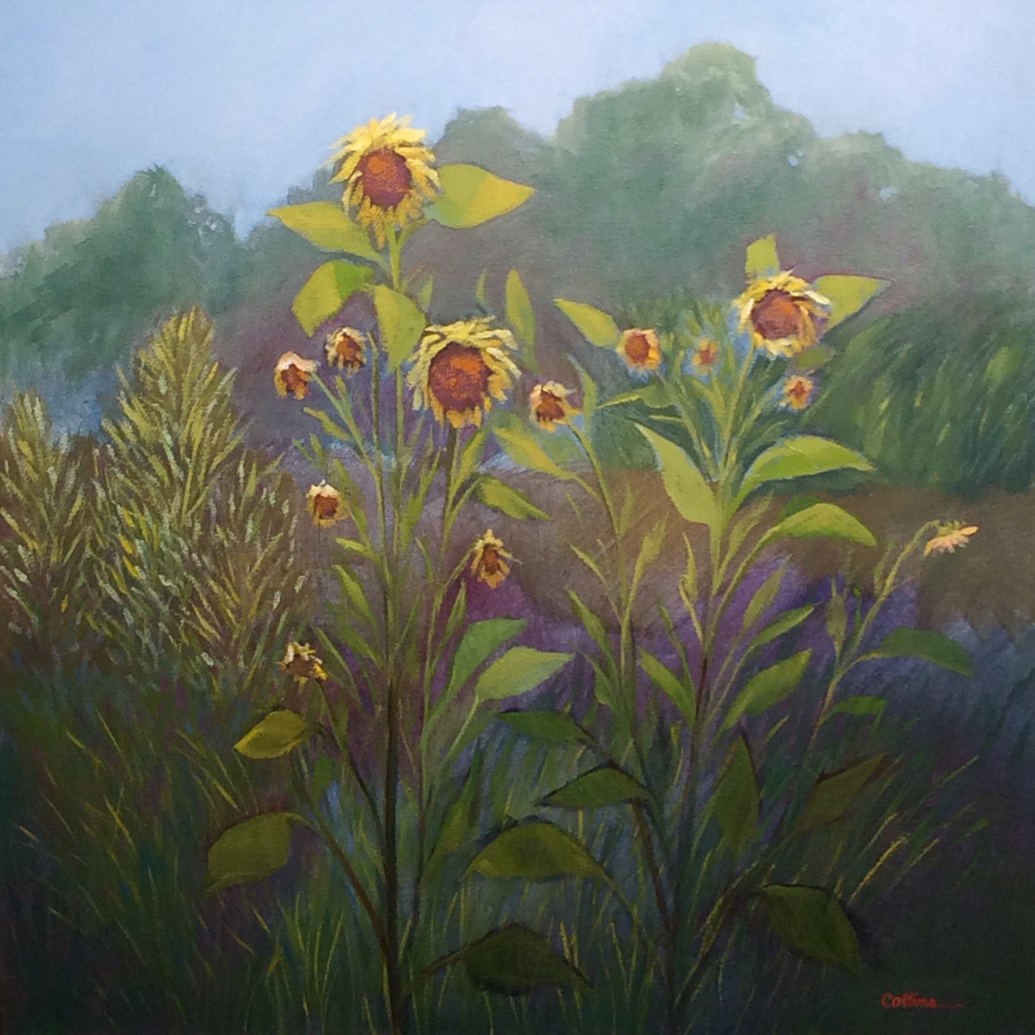 SUNFLOWERS by Jane Wallor Collins