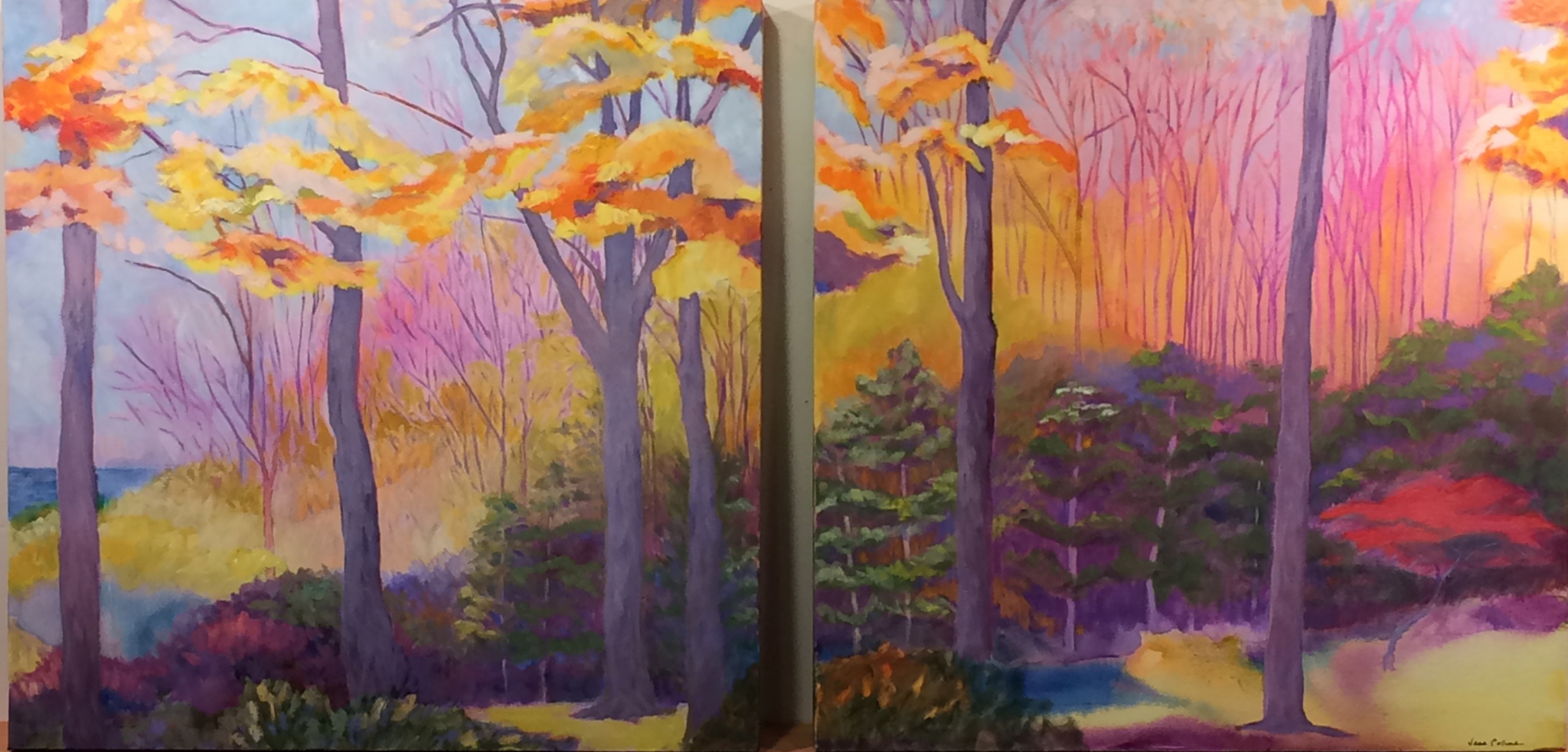 LAST COLOR AT THE LAKE by Jane Wallor Collins