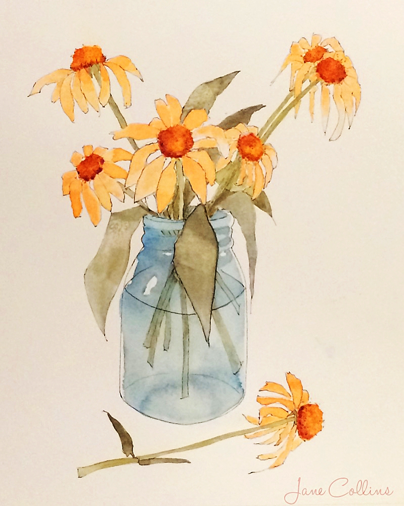 ECHINACEA BOUQUET by Jane Wallor Collins