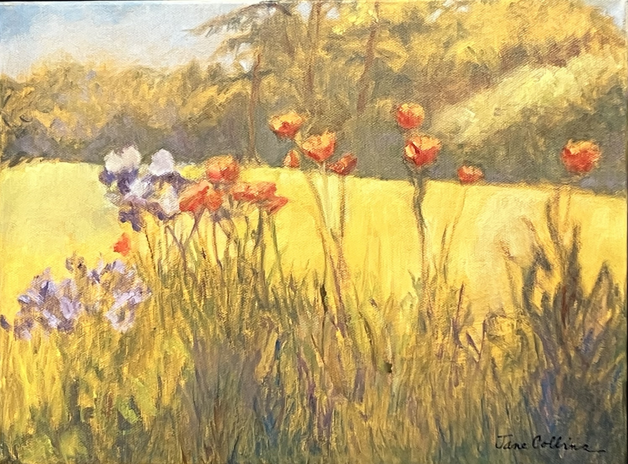 POPPIES, IRIS, CHIVES by Jane Wallor Collins