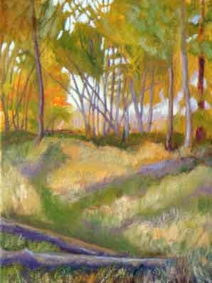 PATHWAYS TO THE WOODS by Jane Wallor Collins