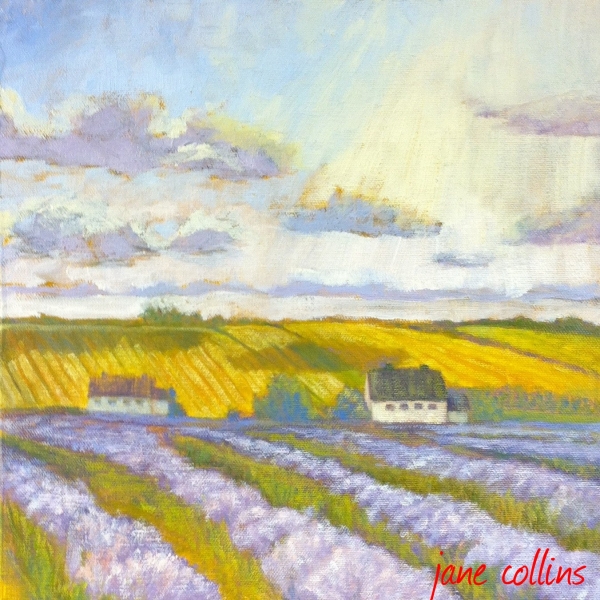 LAVENDER FIELDS, PROVENCE by Jane Wallor Collins
