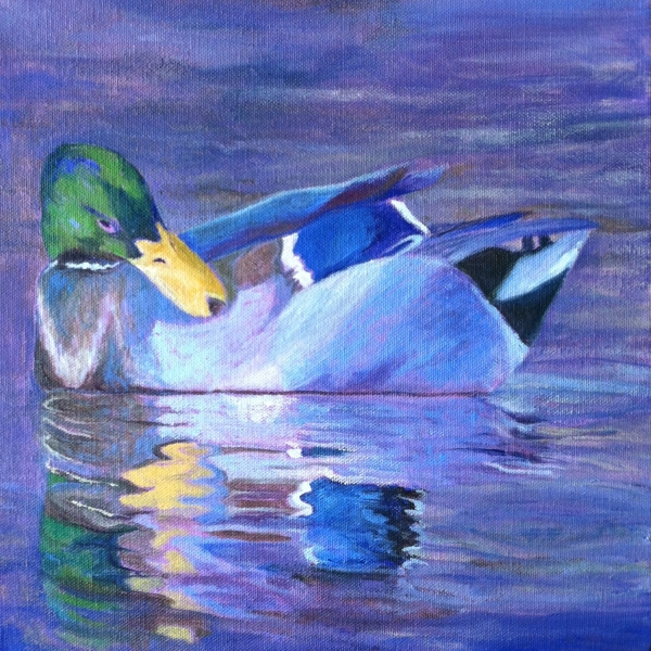 MALLARD, PREENING by Jane Wallor Collins
