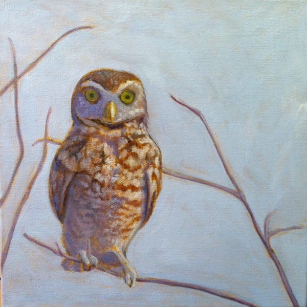 OWL IN WINTER by Jane Wallor Collins