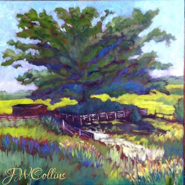WOLF TREE, HORSEBARN HILL by Jane Wallor Collins